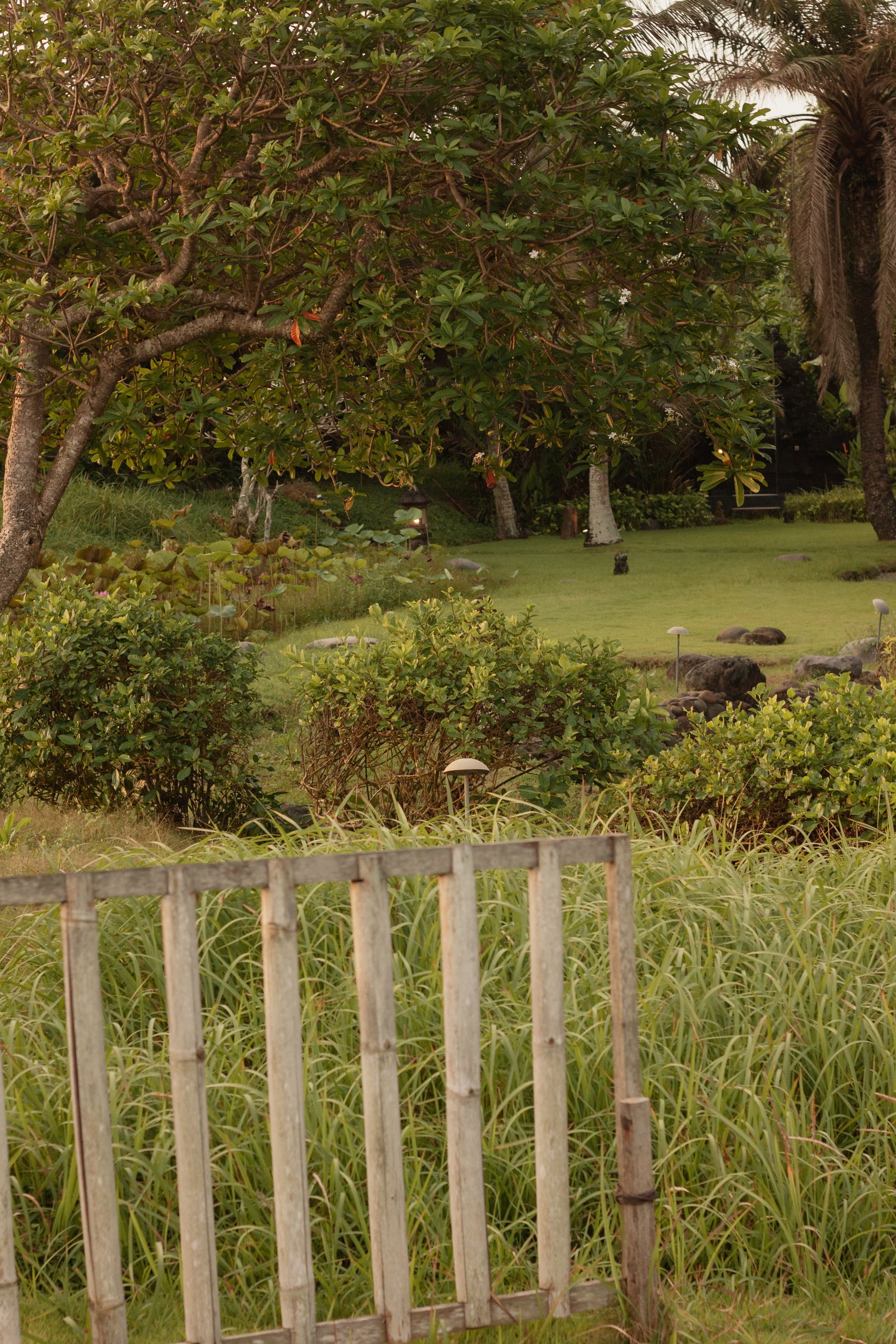 A garden bordered by a natural wood fence