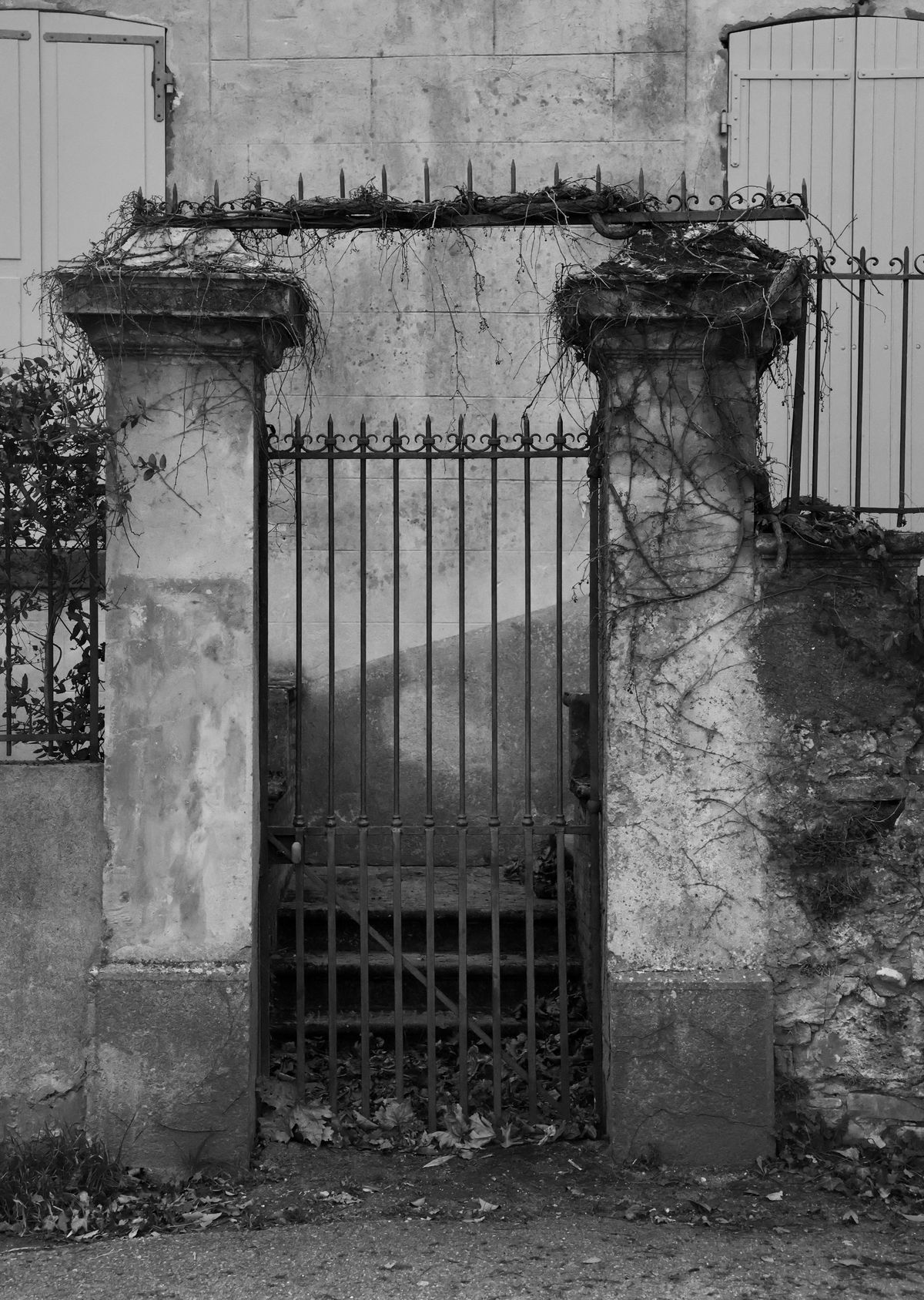 Decorative gate installation framed by greenery