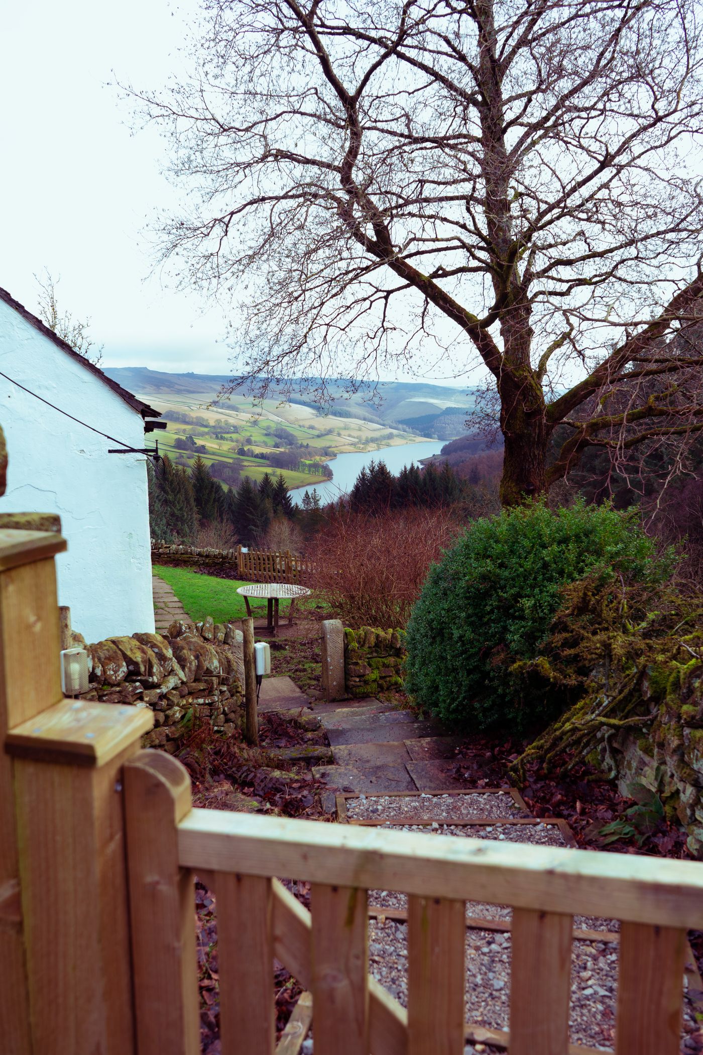 Wood fence and garden path in a landscaped outdoor space